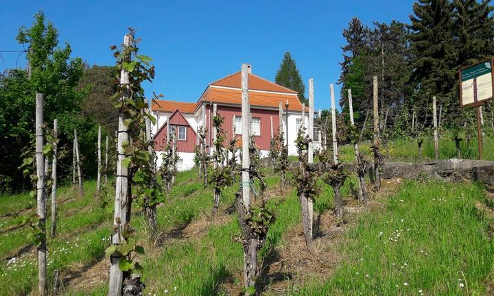 Max-klinger-weinberg Café & Ferienhäuser